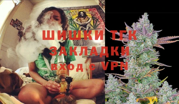крисы Надым