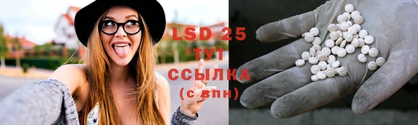 ГАЛЛЮЦИНОГЕННЫЕ ГРИБЫ Наволоки