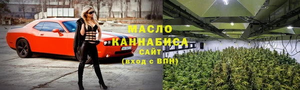 крисы Надым