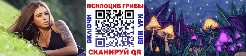 где купить   Нововоронеж  Псилоцибиновые грибы Magic Shrooms 